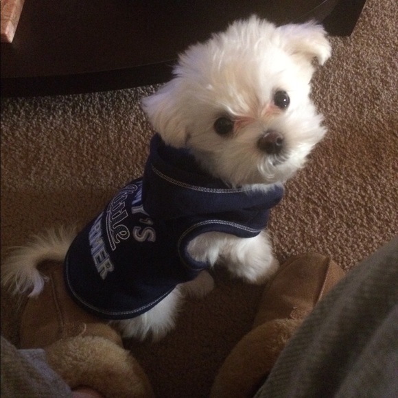 Meet your Posher, Lana - Picture 4 of 6